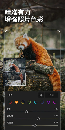lightroom安卓版截图1