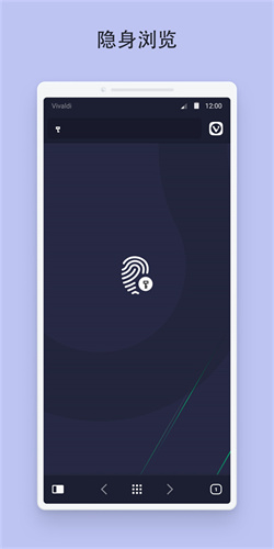 vivaldi浏览器截图2