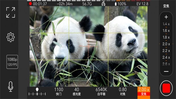 ProMovie专业摄像机截图1